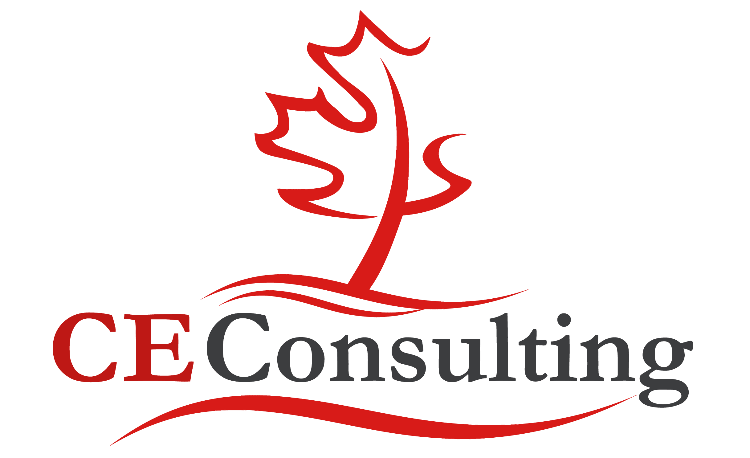 CE Consulting Ltd